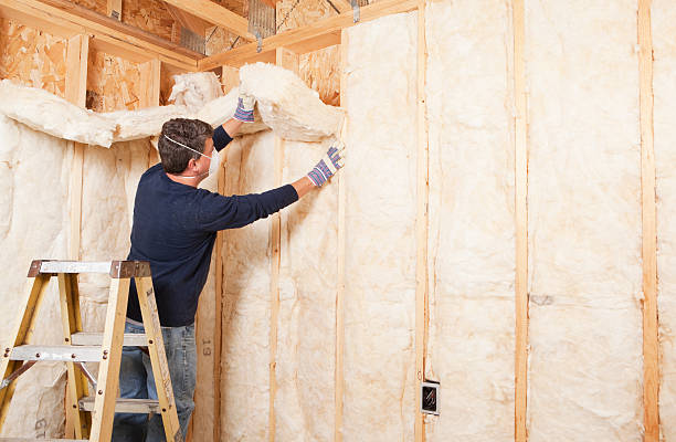 Best Soundproof Insulation  in Strathmore, NJ